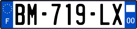 BM-719-LX