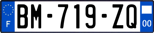 BM-719-ZQ