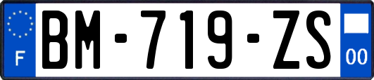 BM-719-ZS