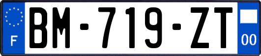 BM-719-ZT