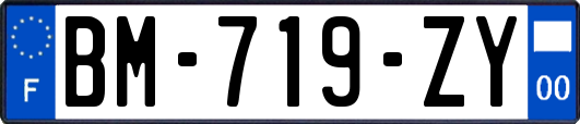 BM-719-ZY