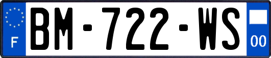 BM-722-WS