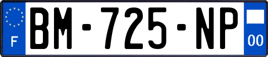 BM-725-NP