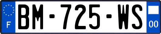 BM-725-WS