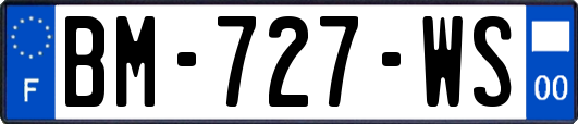 BM-727-WS