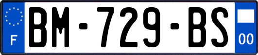 BM-729-BS