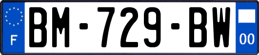 BM-729-BW