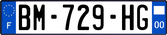 BM-729-HG