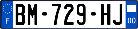 BM-729-HJ