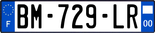 BM-729-LR