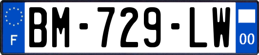 BM-729-LW