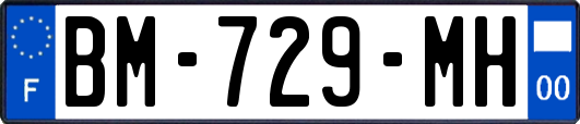 BM-729-MH