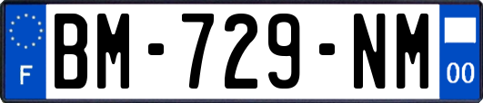 BM-729-NM