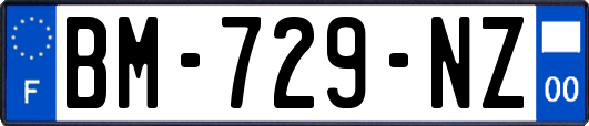 BM-729-NZ