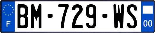 BM-729-WS