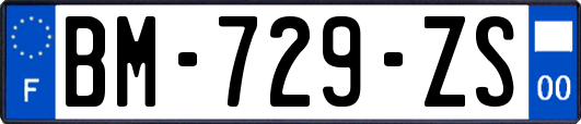 BM-729-ZS