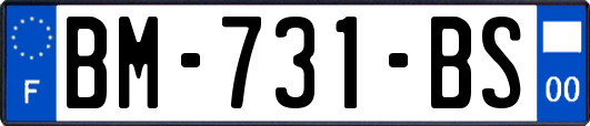 BM-731-BS