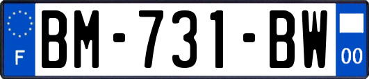 BM-731-BW