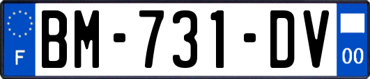 BM-731-DV