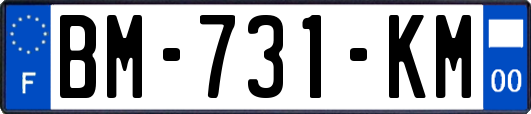 BM-731-KM