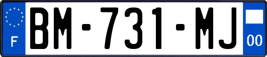 BM-731-MJ