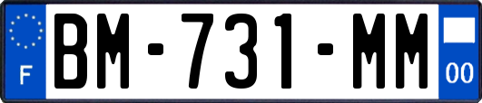 BM-731-MM