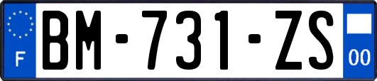 BM-731-ZS