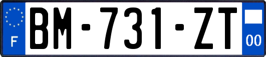 BM-731-ZT