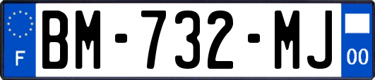 BM-732-MJ