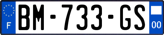 BM-733-GS