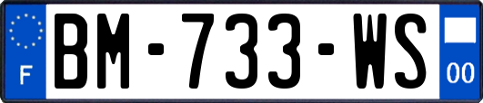 BM-733-WS