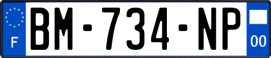 BM-734-NP