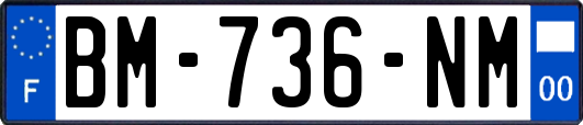 BM-736-NM