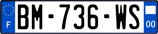 BM-736-WS