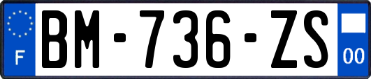 BM-736-ZS