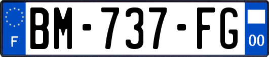 BM-737-FG