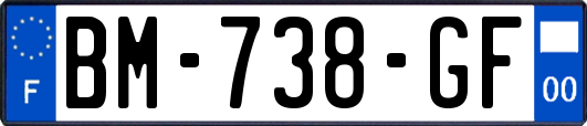 BM-738-GF