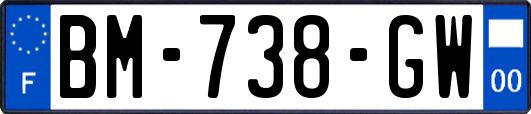 BM-738-GW