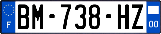 BM-738-HZ