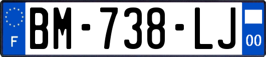 BM-738-LJ