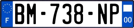 BM-738-NP