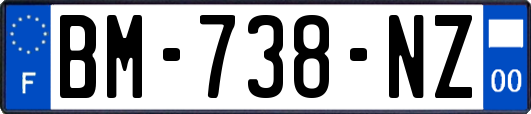 BM-738-NZ