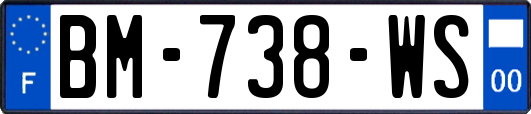 BM-738-WS