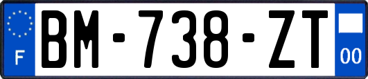 BM-738-ZT