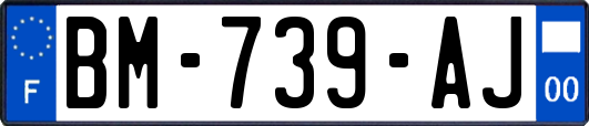 BM-739-AJ