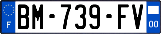 BM-739-FV