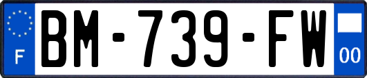 BM-739-FW