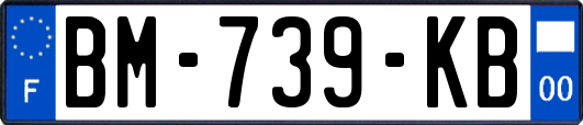 BM-739-KB