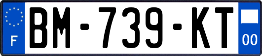 BM-739-KT