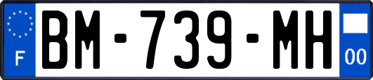 BM-739-MH